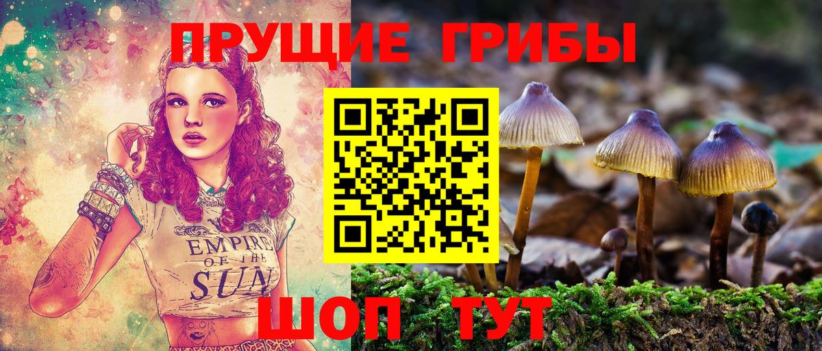Галлюциногенные грибы GOLDEN TEACHER Славгород