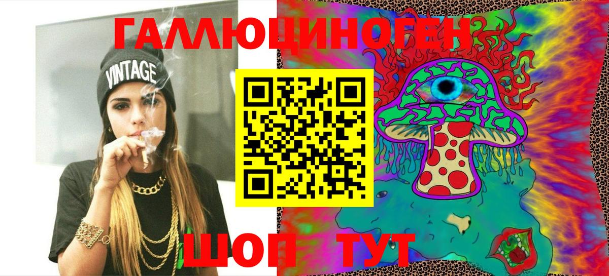 как найти   Галлюциногенные грибы Cubensis  Вход с VPN  Славгород 